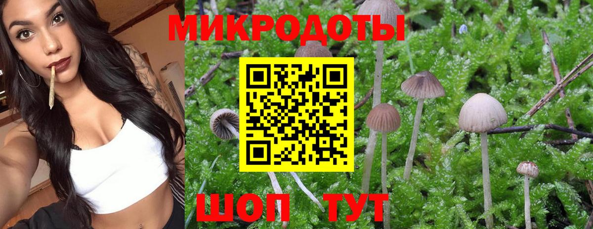 Серпухов  Галлюциногенные грибы GOLDEN TEACHER  Вход с VPN  Псилоцибиновые грибы GOLDEN TEACHER 