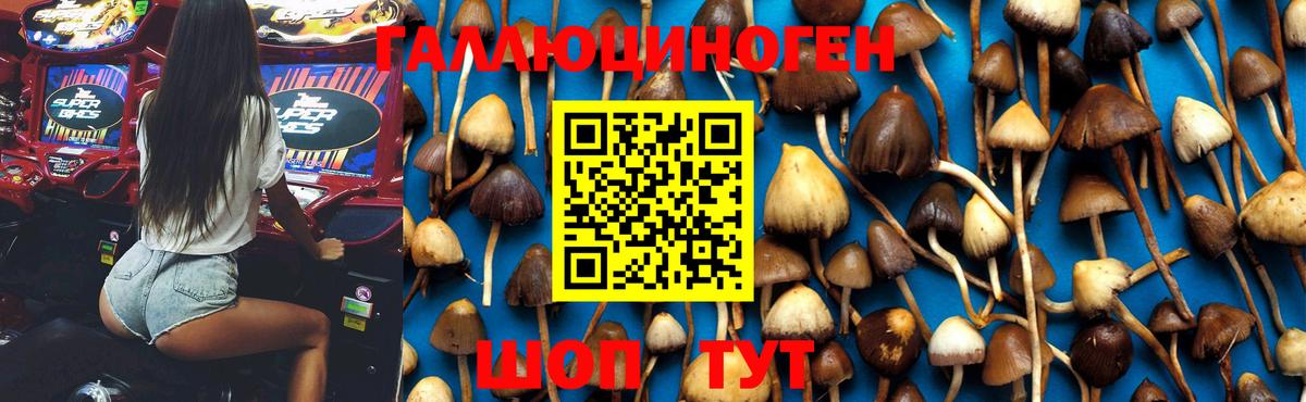 Галлюциногенные грибы Cubensis Серпухов